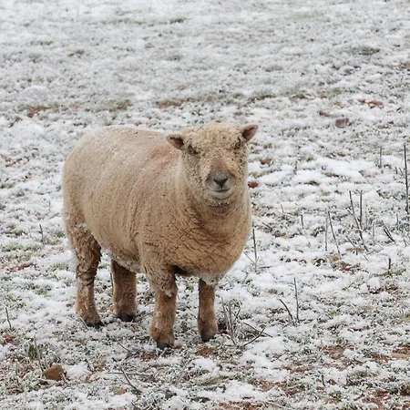 Grouse Holiday home *