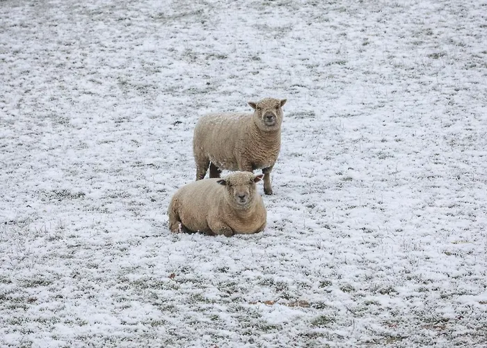 Grouse Hébergement de vacances *